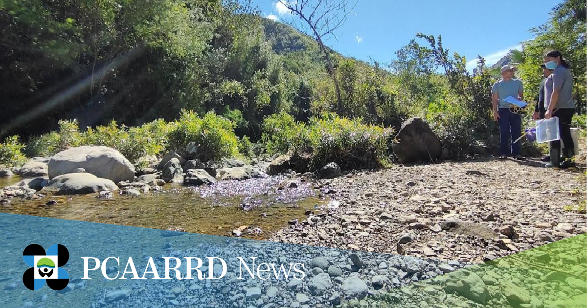 Project establishes water quality index through diatoms in Batangas and Marikina rivers